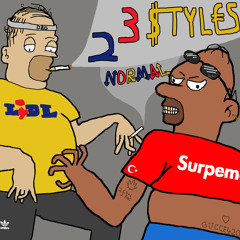 2 3 Styles normal