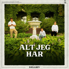 Fjellrev - Alt Jeg Har (JZON Remix)