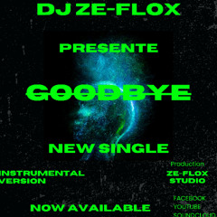DJ ZE-FLOX GOODBYE Instrumental Version
