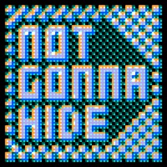 Not Gonna Hide (Feat Sono & Noé)