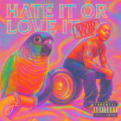Hate It Or Love It - The Game, 50 Cent (VIVID FEVER DREAMS FLIP)