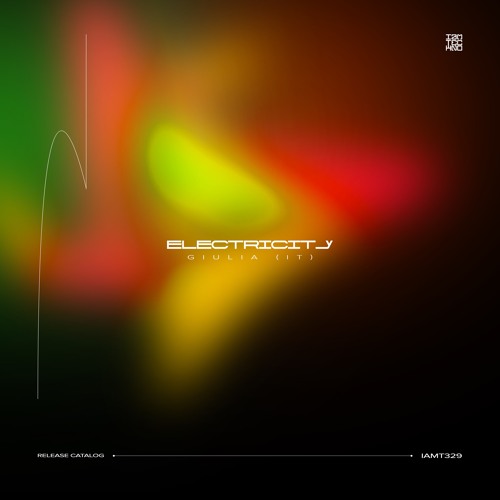 IAMT329: GIULIA (IT) - Electricity
