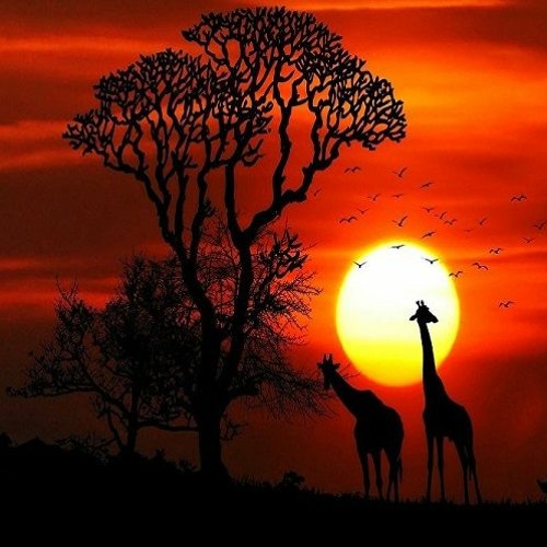 MIX TECH HOUSE VOL.2- DJ CARLOS FONSECA