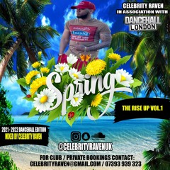 ★ THE RISE UP MIX CD ★ BASHMENT SPRING 2022 EDITION VOL.1 Mixed By Celebrity Raven