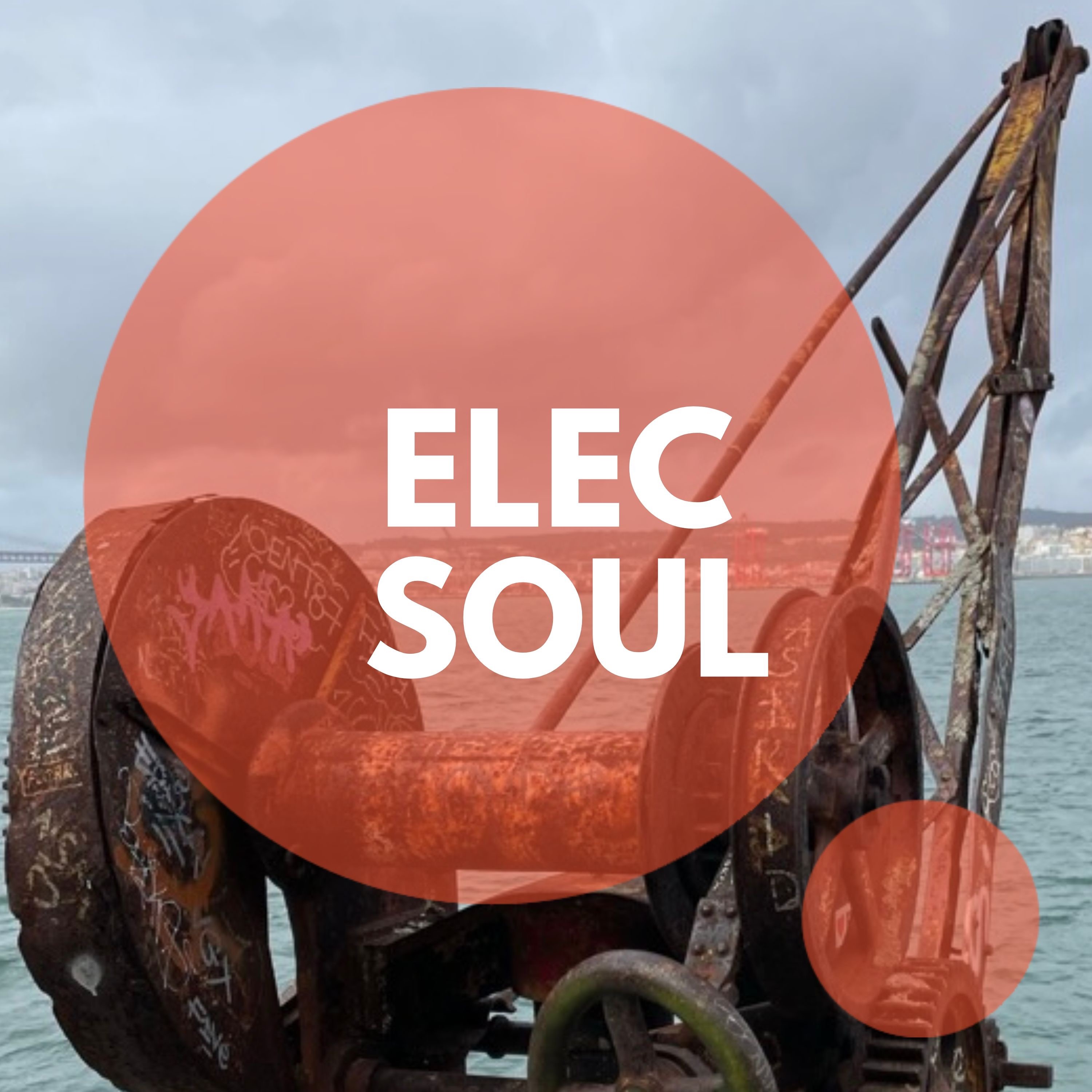 ElecSoul