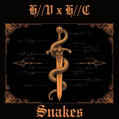 Holy Vacant & Hank Chill - SNAKES