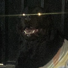 örganico