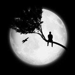 Sam Tompkins - Talking To The Moon (vsd remix)
