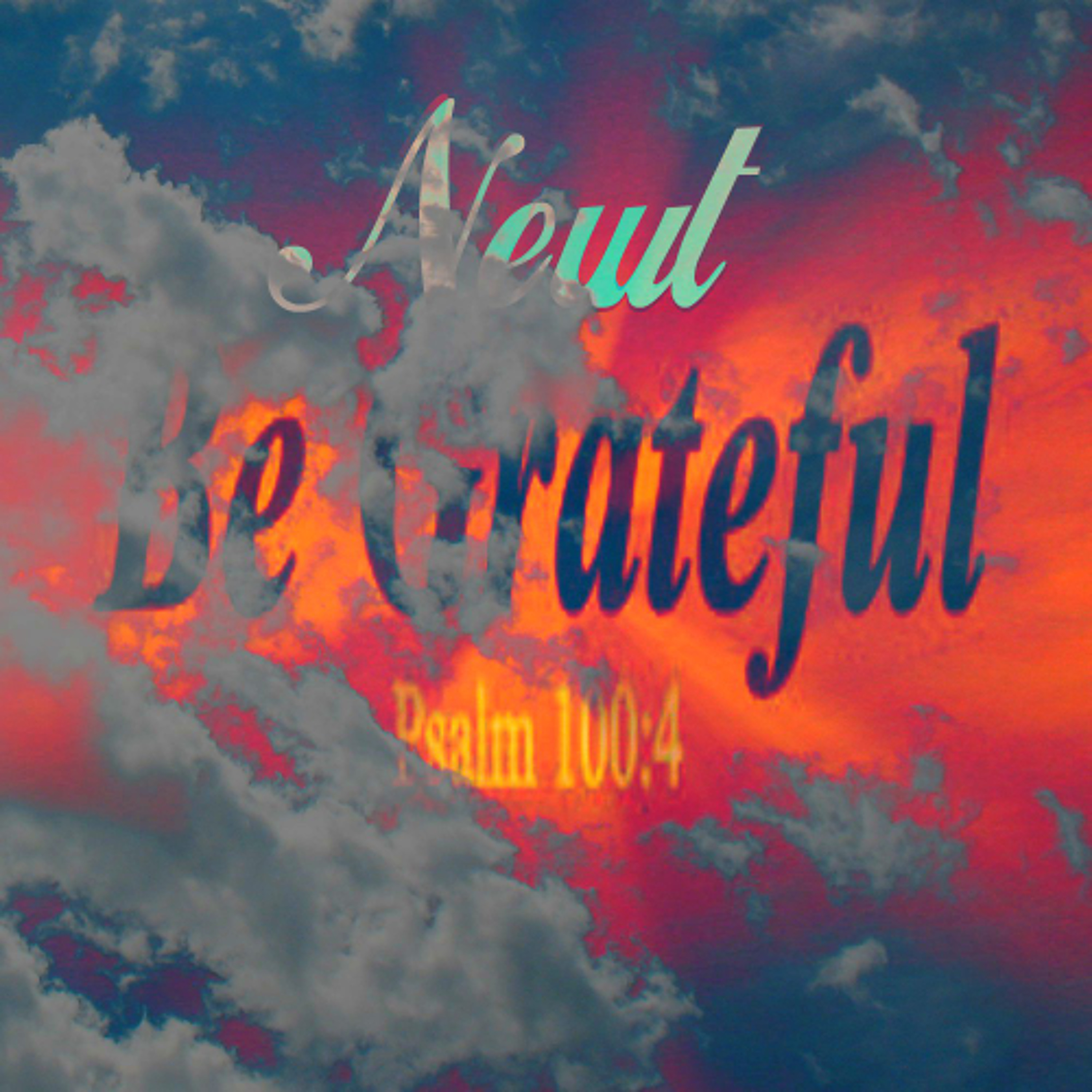 Newt - Be Grateful episode artwork