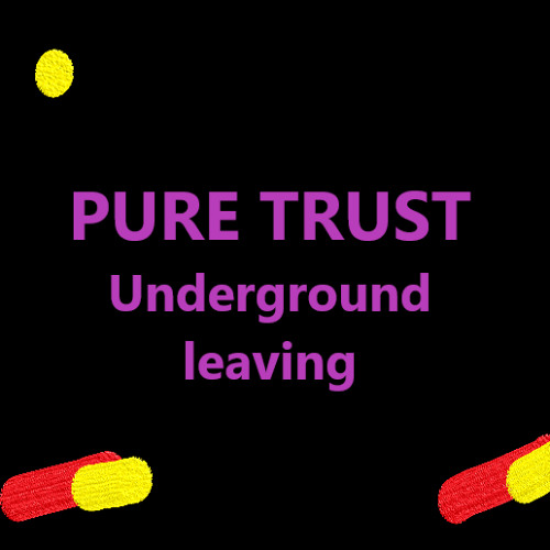 Stream PURE TRUST Underground leaving by PURE TRUST Listen online