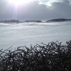 The Winter Song (by John Langan)