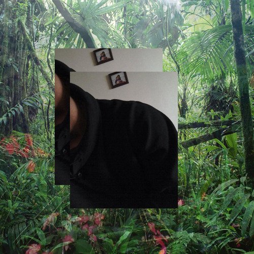 Louis Rain - F I J I F O R E S T