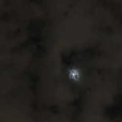 انا اسف ولو تكفيك):