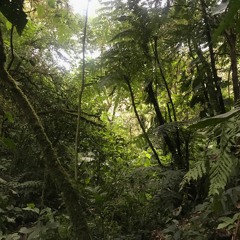 'journey to other planets' distal mix from jake blood