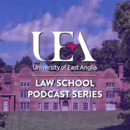 The Rise of International Commercial Courts: Dr Rishi Gulati and guest Professor Giesela Rühl