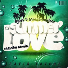 David Tavare - Summer Love (DjNev & Minost Project Mambo Remix 2021) [COPY]