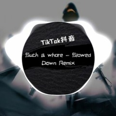 Such a whore - Slowed Down Remix - 0:01 Tik Tok - 抖音 Douyin