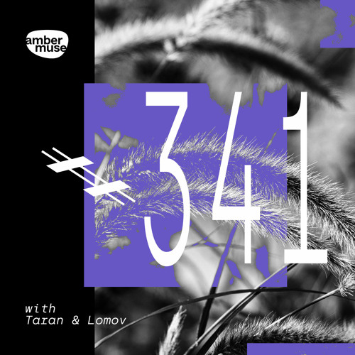 Amber Muse Radio Show #341 with Taran & Lomov // 28 July 2023
