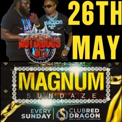 NOTORIOUS INT SOUND "DJ MAGNUM/SEEN UP🌏" MAGNUM SUNDAZE INDEPENDENCE NIGHT 2025.mp3