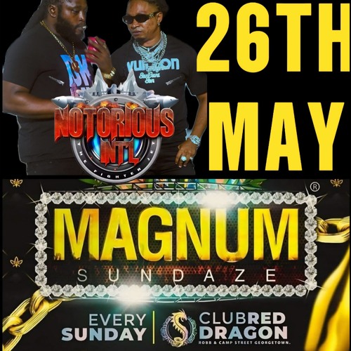 NOTORIOUS INT SOUND "DJ MAGNUM/SEEN UP🌏" MAGNUM SUNDAZE INDEPENDENCE NIGHT 2025.mp3