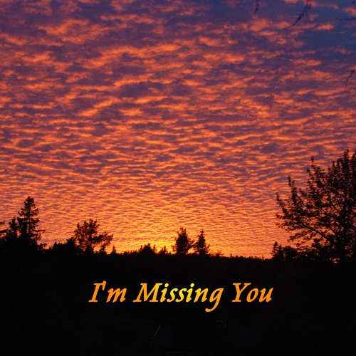 I'm Missing You