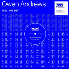 Feel The Heat (Extended Mix) - Andrews Rework