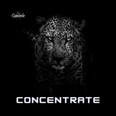 Gamleole - Concentrate Extended Mix