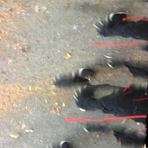 2 Stray Dogs/Collab/No Mates Ensemble