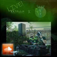 F&B Estella Vol1
