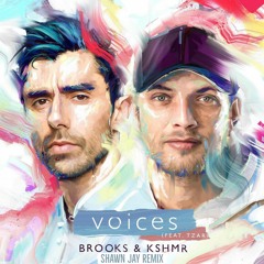 Voices Ft TZAR (Shawn Jay Remix)