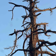 jus hurt my feelings (prod. IanPlug)