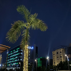 يا ذا الحب الجديد🖤