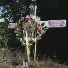 HOMICIDE PARANOID - shootmane