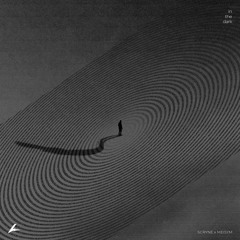 Scryne & Meisym - In The Dark