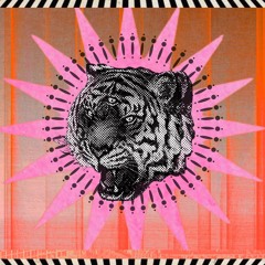 TRIP008 - Überhaupt & Außerdem - Late Night Talking