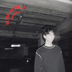 Dinosaur (College Project)