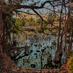 Episode 288 (ft: Aidan Epstein & Steve Ippolito)