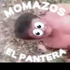 El pantera funk
