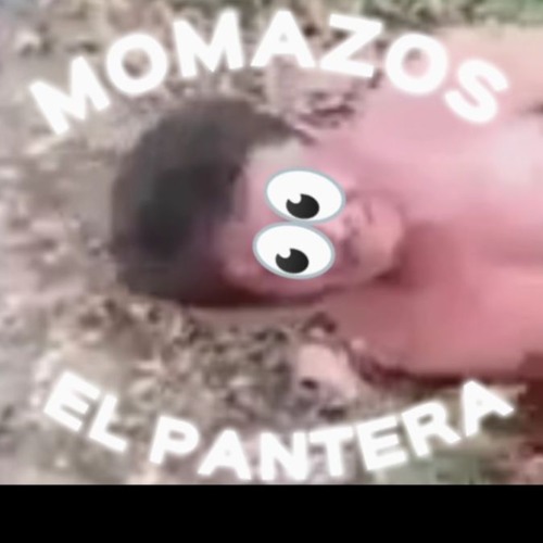 El pantera funk
