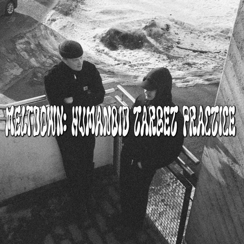 MELTDOWN: HUMANOID TARGET PRACTICE | 14.01.23