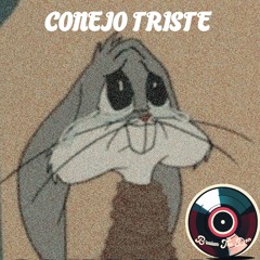 CONEJO TRISTE
