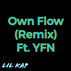 Own Flow (Remix) ft. Y.F.N.