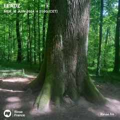 Feadz - 12 juin 2024