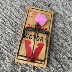 “CONFESSIONS”👹