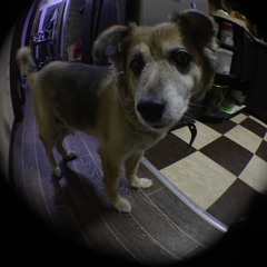 Qazwsx