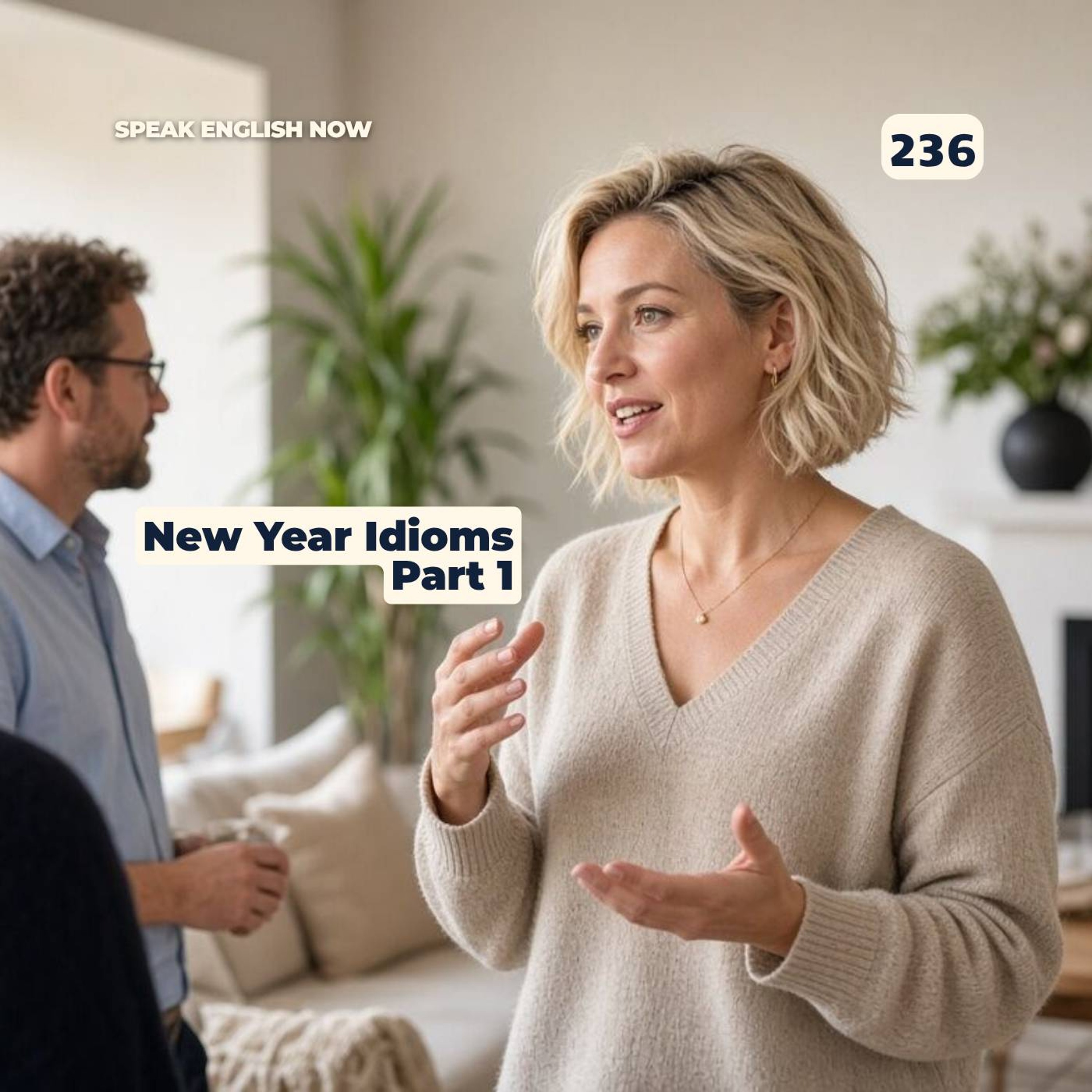 #236 English Idioms for the New Year (part1) episode artwork