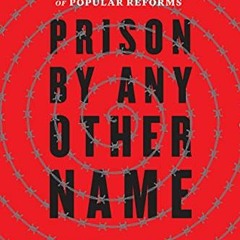 ACCESS EPUB ✔️ Prison by Any Other Name: The Harmful Consequences of Popular Reforms