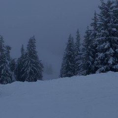 phaze one - nicoles groove (brandon edit)