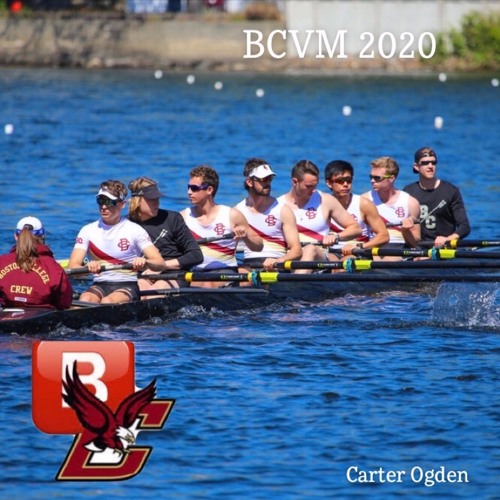 BCVM Erg Mix