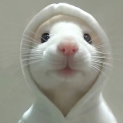 ratatata